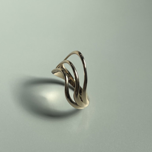 CurvesInNatureRing斜め上からの写真