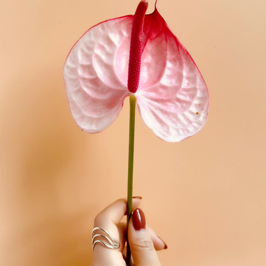 花を持つ手にリングをはめているphoto